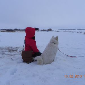 ...�����������