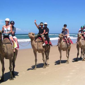 ���� ����� 9