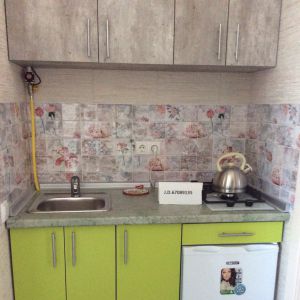 кухня в 3-местном Полулюксе кухня в 3-местном Полулюксе